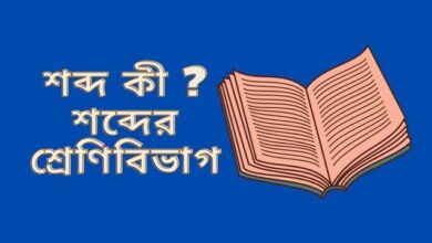 শব্দ কী । শব্দের শ্রেণিবিভাগ